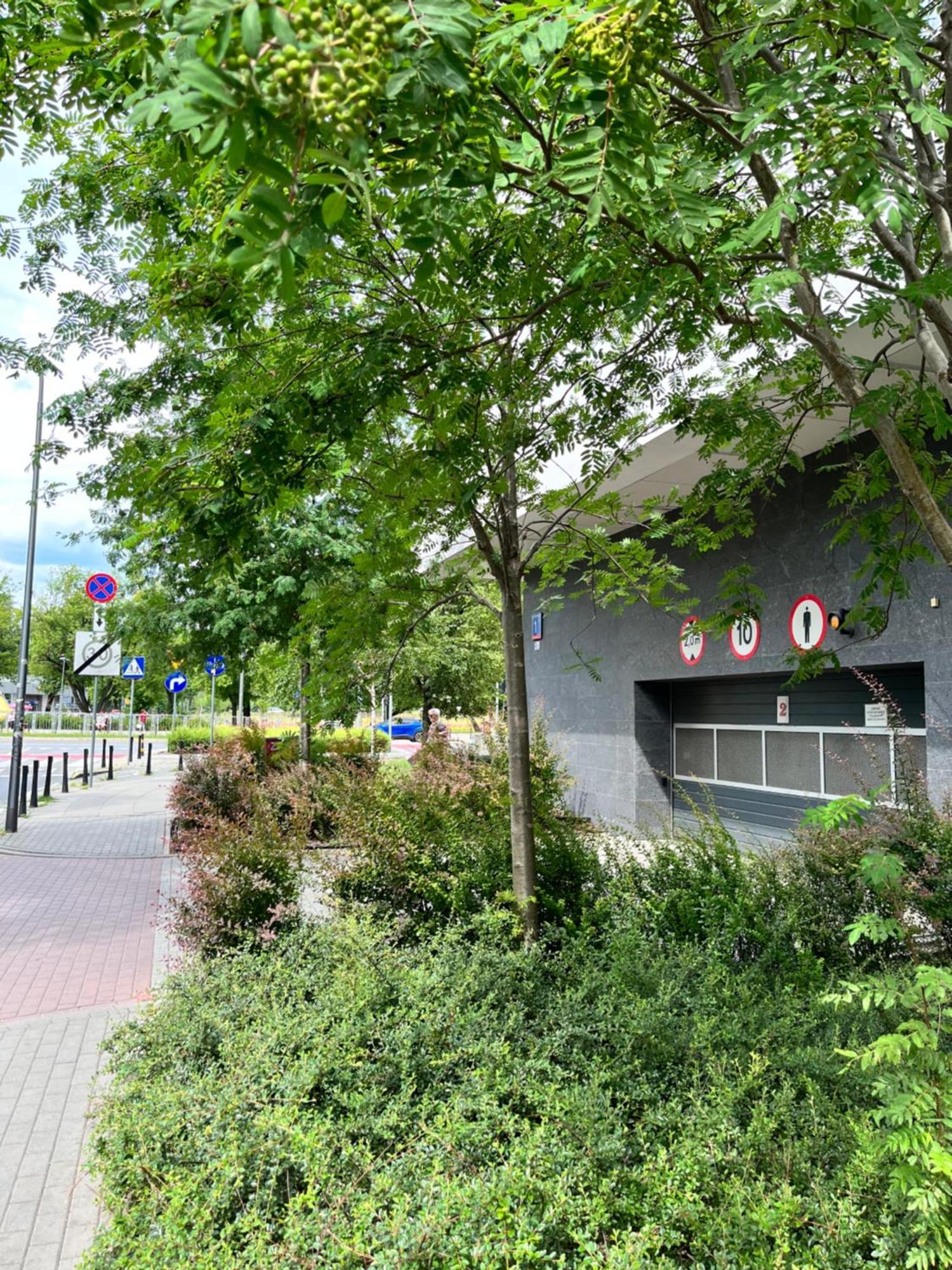 Apartment Metro Slodowiec Free Parking Warschau Exterior foto
